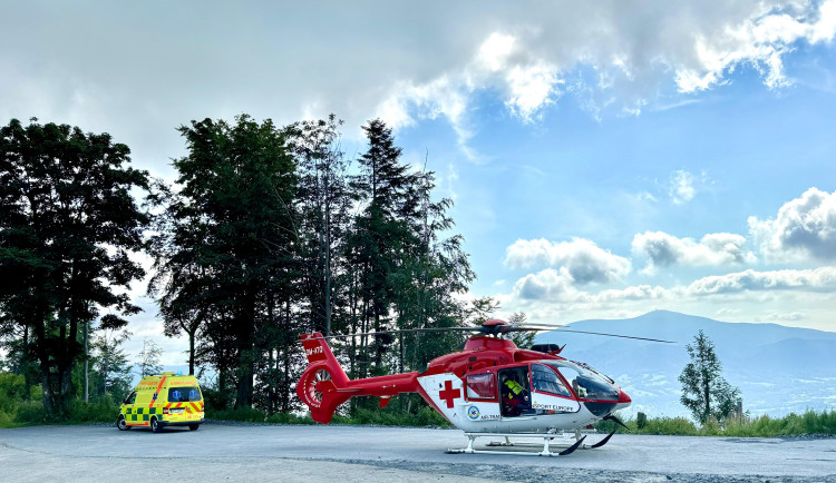 Záchranáři ošetřovali muže ve vážném stavu po pobodání sršněm.