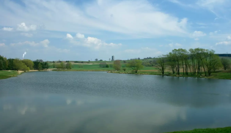 Sinicím se v Moravskoslezském kraji daří. V nádrži Brušperk na Frýdecko-Místecku už se lidé nevykoupou