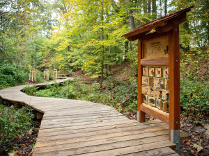 V Ostravě vzniká Park nad rybníkem, naváže na oblíbenou Cestu vody