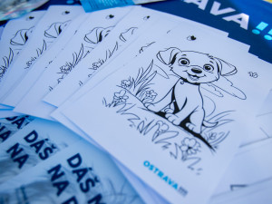 Útulek pro psy v Ostravě přichází s rychlejší možností finanční podpory pro osamocené mazlíčky