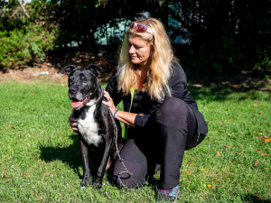 Útulek pro psy v Ostravě přichází s rychlejší možností finanční podpory pro osamocené mazlíčky