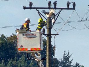 Čáp uvízl na sloupu elektrického vedení na Novojičínsku. Zůstal viset za nohu a nemohl dolů