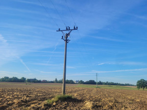 Čáp uvízl na sloupu elektrického vedení na Novojičínsku. Zůstal viset za nohu a nemohl dolů