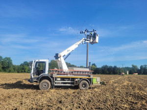 Čáp uvízl na sloupu elektrického vedení na Novojičínsku. Zůstal viset za nohu a nemohl dolů