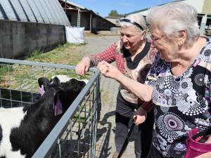 Terapie vzpomínkami. V Ostravě pomáhají seniorům prostřednictvím minulých zážitků