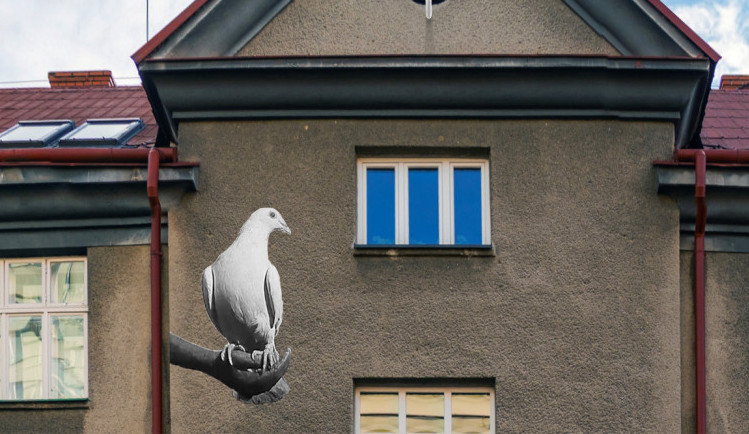 Režiséra Vláčila bude ve Frýdku-Místku připomínat bílá holubice. Freska oslavuje sté výročí filmařova narození