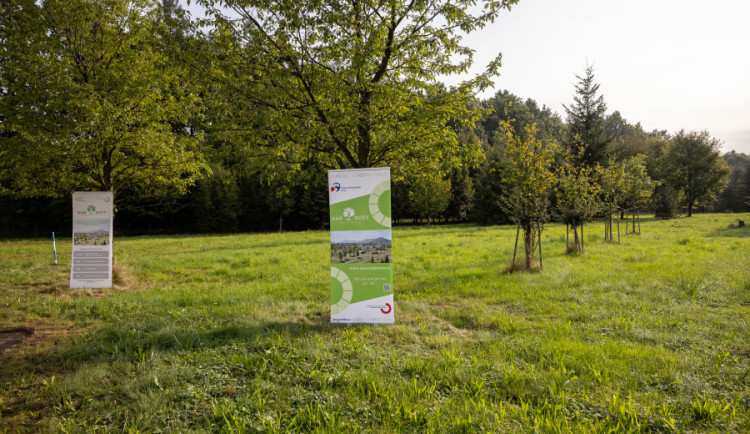 Moravskoslezský kraj vybuduje dva domky pro lidi s mentálním postižením.