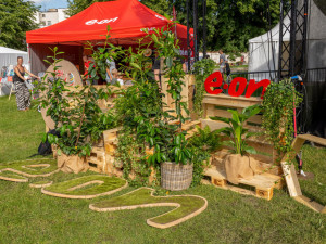 Hudba, zábava, přednášky a ochrana přírody. Ekofestival míří poprvé do Brna