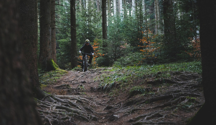 Nové adrenalinové vyžití nad Dvorem Králové: Otevření Červeného trailu!