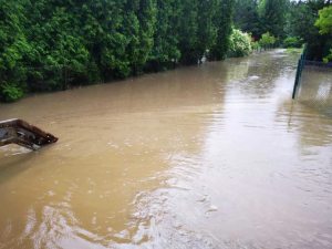 Na severní Moravě a ve Slezsku až do pondělí platí povodňová pohotovost. Přijde extrémní déšť a silný vítr