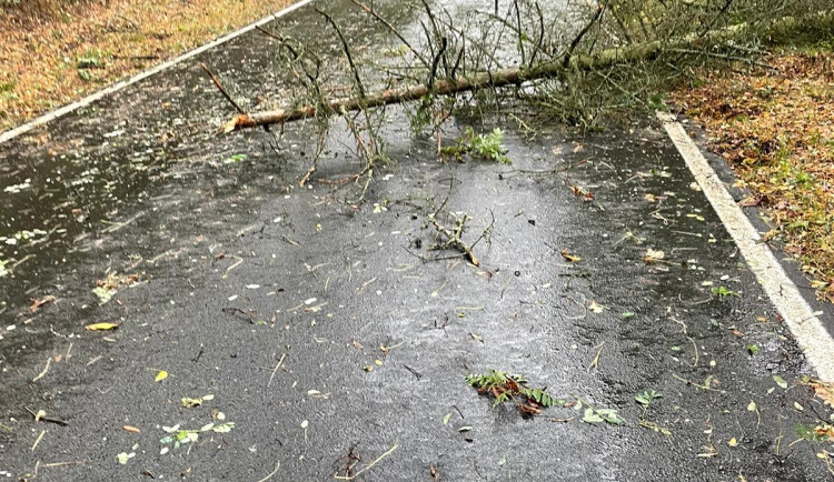 Větev spadla těsně vedle mladé ženy s kočárkem. Nechoďte do lesů ani parků, varují strážníci