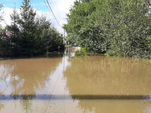 Hladina Olše klesá a Těšínští se vrací domů. Do Bohumína naopak velká voda teprve dorazí