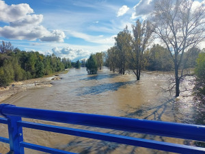 Ostravská Nová Ves se evakuuje. Odra výrazně přesáhla hranici stoleté vody, přetéká hráze