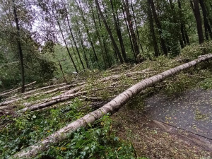 Ostrava: zavřeno, zrušeno, přeloženo. Částečně zaplavené město mění program