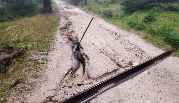 Národní park počítá škody po povodních. Zničená je třetina dřeva, která se měla letos vytěžit