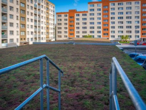 Ostravský Jih hlásí nová parkovací místa, klima v Bělském Lese zlepší zelená střecha