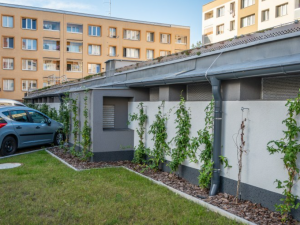 Ostravský Jih hlásí nová parkovací místa, klima v Bělském Lese zlepší zelená střecha