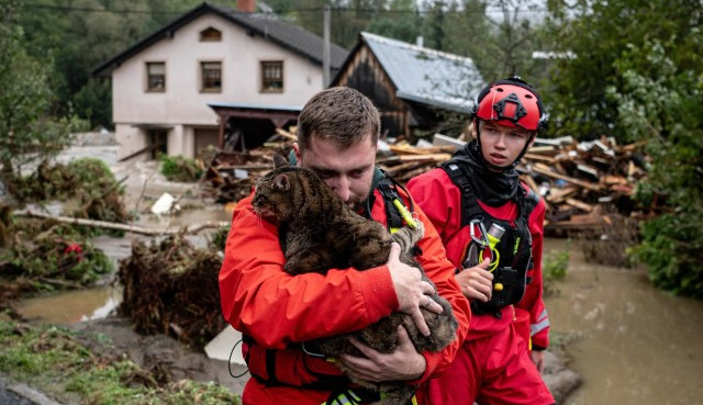 Sbírka po útulky postižené povodněmi vynesla přes pět milionů korun