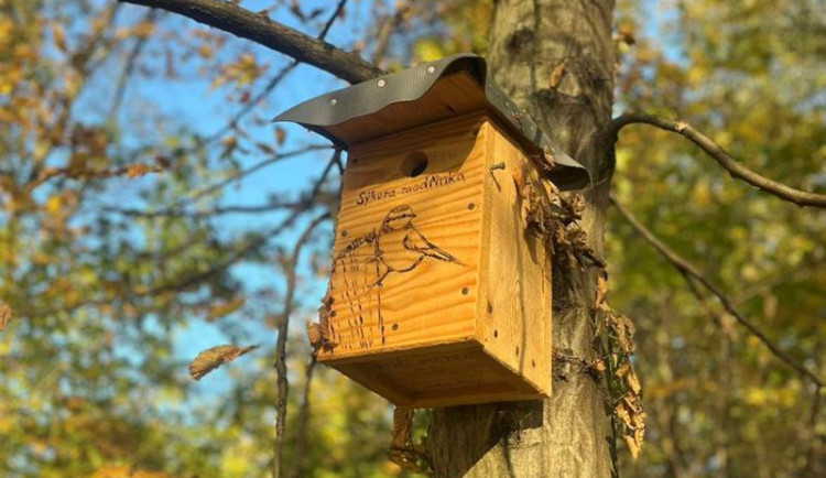 Třinec má novou ptačí stezku. Nabídne celoroční zázemí a potravu ptačím koloniím