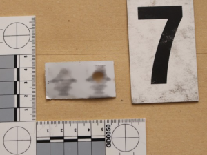 Mladý muž zemřel na intoxikaci léky vedenými jako omamná látka. Policie zadržela dealera