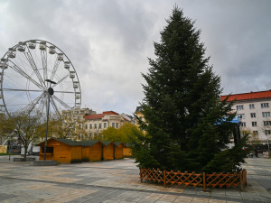 FOTO: Na Masarykově náměstí stojí strom, přípravy na Ostravské Vánoce finišují