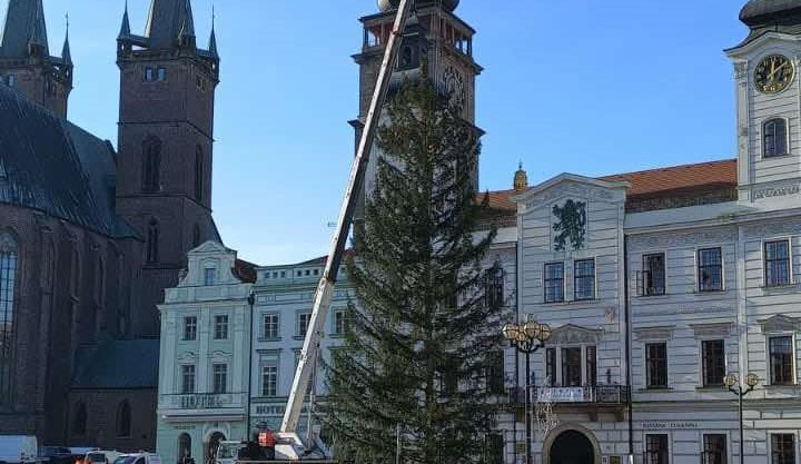 Hradec Králové už má svůj vánoční strom na Velkém náměstí