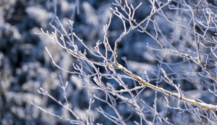 Týden bude zatažený, předpovídají meteorologové. Na horách od Krkonoš po Jeseníky hrozí ledovka