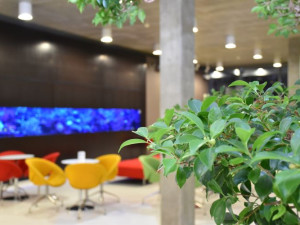 Kde věda potkává soucit: Protonové centrum v Praze slaví významné výročí