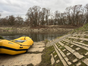 V ostravské Odře plave mnoho mrtvých ryb. Hasiči momentálně zjišťují rozsah a příčinu úhynu