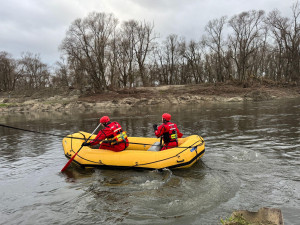 V ostravské Odře plave mnoho mrtvých ryb. Hasiči momentálně zjišťují rozsah a příčinu úhynu