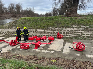 V ostravské Odře plave mnoho mrtvých ryb. Hasiči momentálně zjišťují rozsah a příčinu úhynu