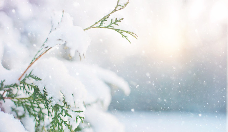 Vánoce budou na řadě míst bílé. Štědrý den bude nejchladnější za posledních šestnáct let, přinese i sníh