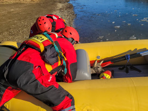 FOTO, VIDEO: Srna uvízla na zamrzlé přehradě. Z ledové pasti ji zachránili hasiči z Kopřivnice