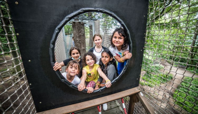 Nadační fond Albert loni pomohl více než 11,5 miliony korun. Podpora směřovala i do Moravskoslezského kraje