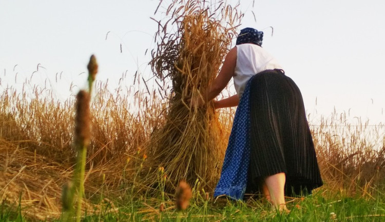 muchova-kristyna--2024-mistr-tradicni-rukodelne-vyroby-_2_