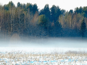 Meteorologové varují před silným mrazem až minus šestnáct. Zasáhne velkou část Moravskoslezského kraje