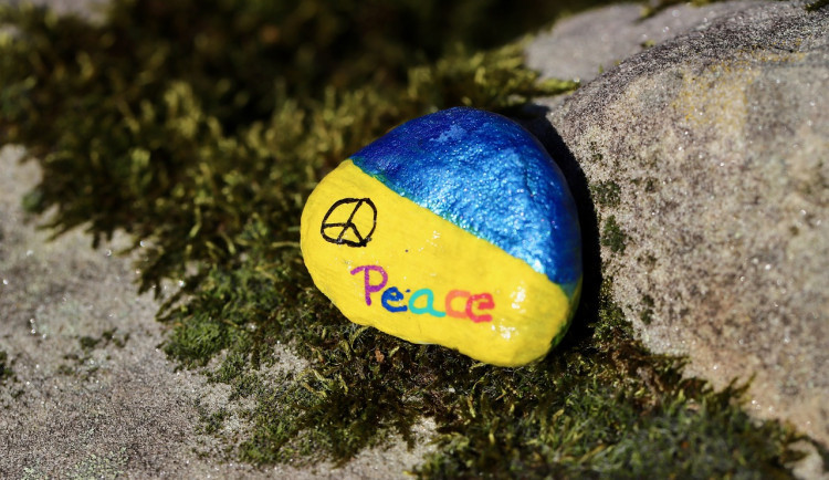 Integraci Ukrajinců v Moravskoslezském kraji zpomalují především jazyk a bydlení