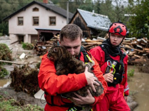 Program Živel 3 jede. Lidé zasažení zářijovou povodní získají peníze nebo půjčky na obnovu zničených obydlí