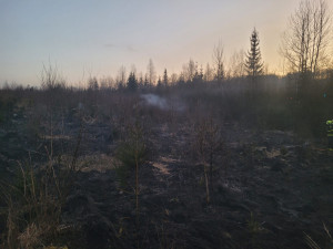 Policisté pátrají po fantomovi lesních požárů. Žhář v neděli na Bruntálsku podpálil desítku porostů