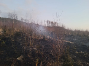 Policisté pátrají po fantomovi lesních požárů. Žhář v neděli na Bruntálsku podpálil desítku porostů