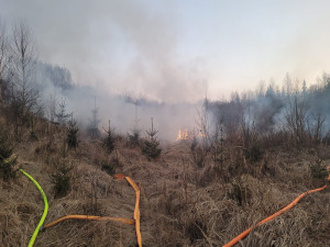 Policisté pátrají po fantomovi lesních požárů. Žhář v neděli na Bruntálsku podpálil desítku porostů
