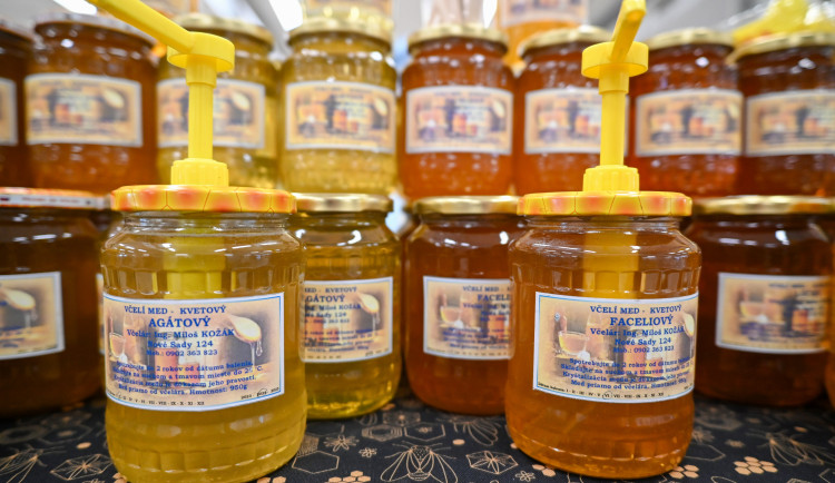 FOTO: Invaze včelařů na Černé louce. Výjimečné ve střední Evropě