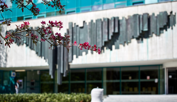 Technická univerzita Ostrava láká na nový obor, na přihlášky mají zájemci týden