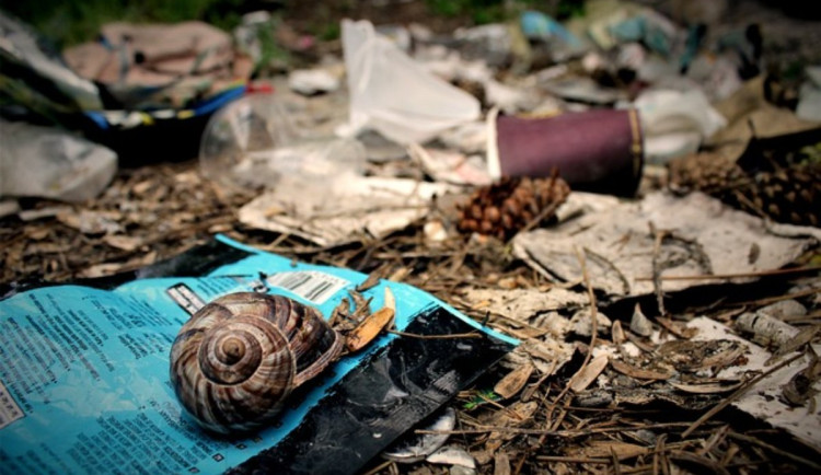 Nasadit rukavice a chopit se pytle. Dobrovolníci v Krnově uklidí odpad naplavený po loňských povodních