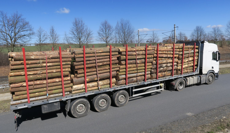 Jedenáct tun navíc. Policisté na D1 zastavili přetížený kamion se dřevem, řidič ani neměl všechny doklady