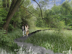 Kde zrelaxovat v rušné Ostravě? V Hrabové vzniká odpočinkový prostor s tůněmi a mokřady