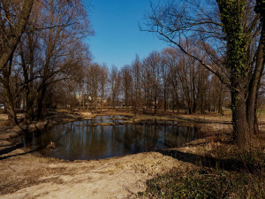Kde zrelaxovat v rušné Ostravě? V Hrabové vzniká odpočinkový prostor s tůněmi a mokřady