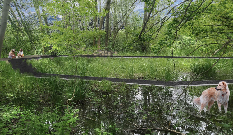 Kde zrelaxovat v rušné Ostravě? V Hrabové vzniká odpočinkový prostor s tůněmi a mokřady