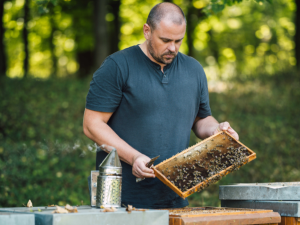 Přihlas se do soutěže Regionální potravina Moravskoslezského kraje