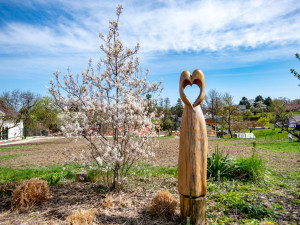 Kout ctností, pétanque i stolní fotbal. Farní zahrada sv. Marka v Heřmanicích sbližuje generace